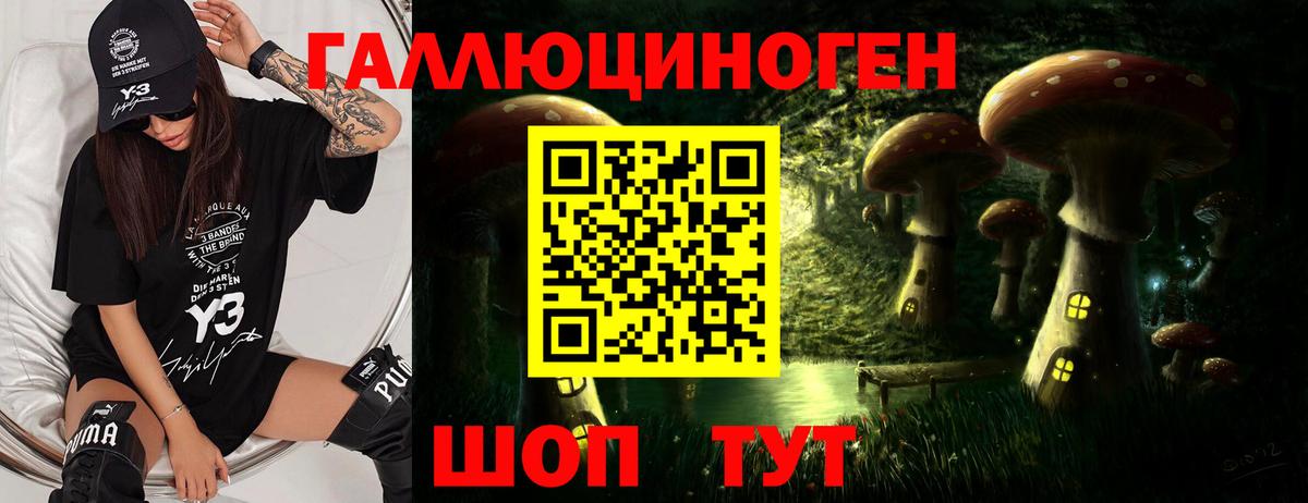 Камень-на-Оби  купить   Вход с VPN  Псилоцибиновые грибы прущие грибы  Псилоцибиновые грибы Magic Shrooms 